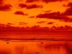 Nature's fire